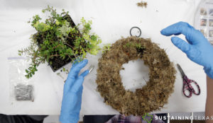 How To Make Living Wreath